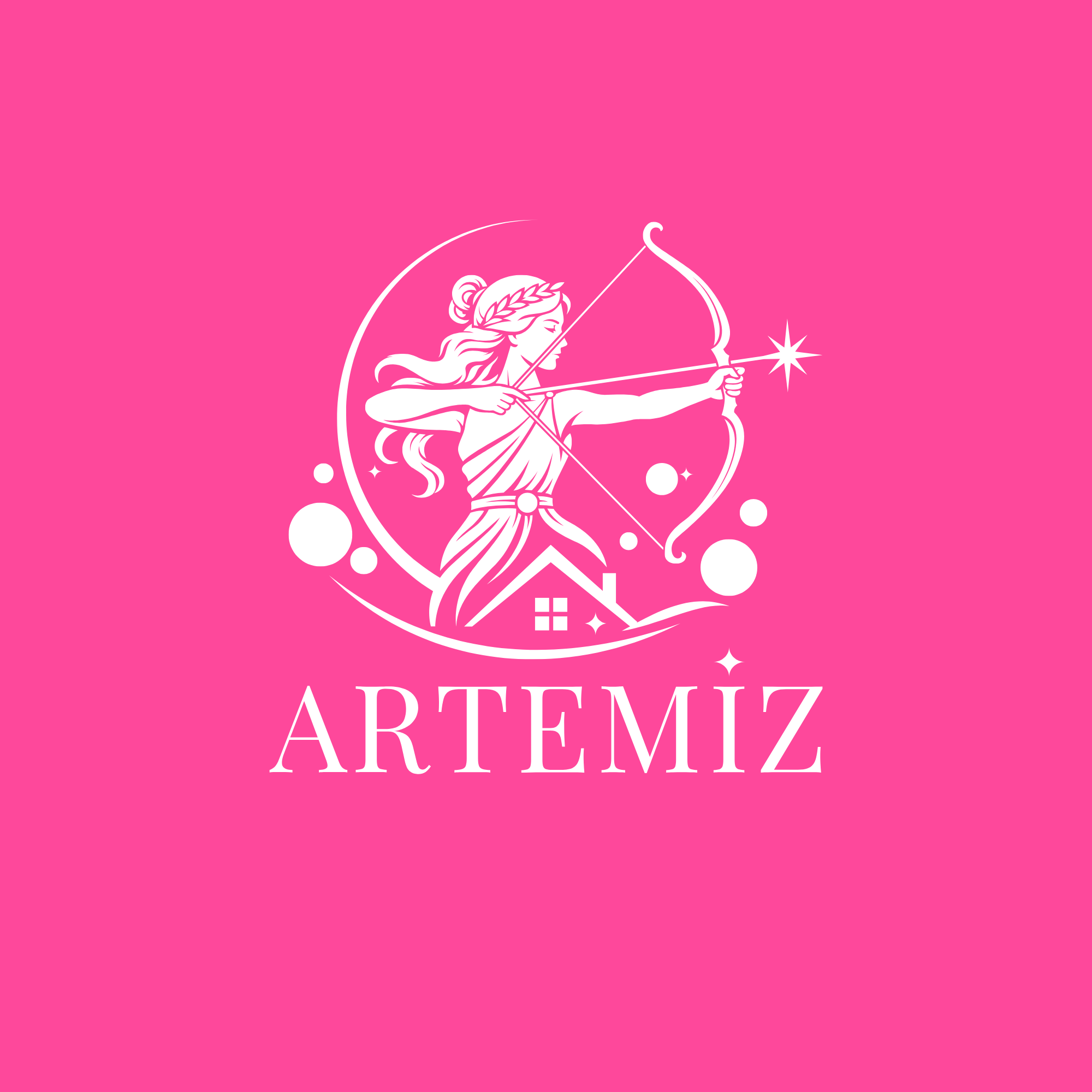 Artemiz Cleaning Services